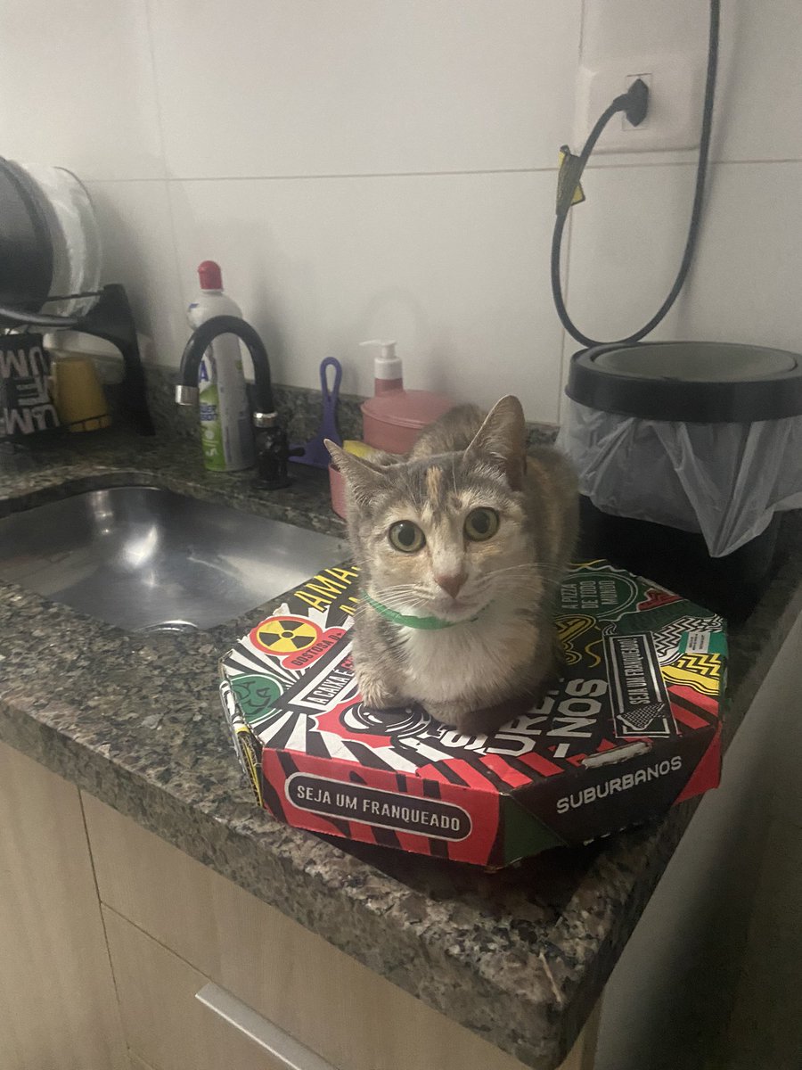 pareidefumarpod's tweet image. ela gosta de fica na pizza que eh quentinho