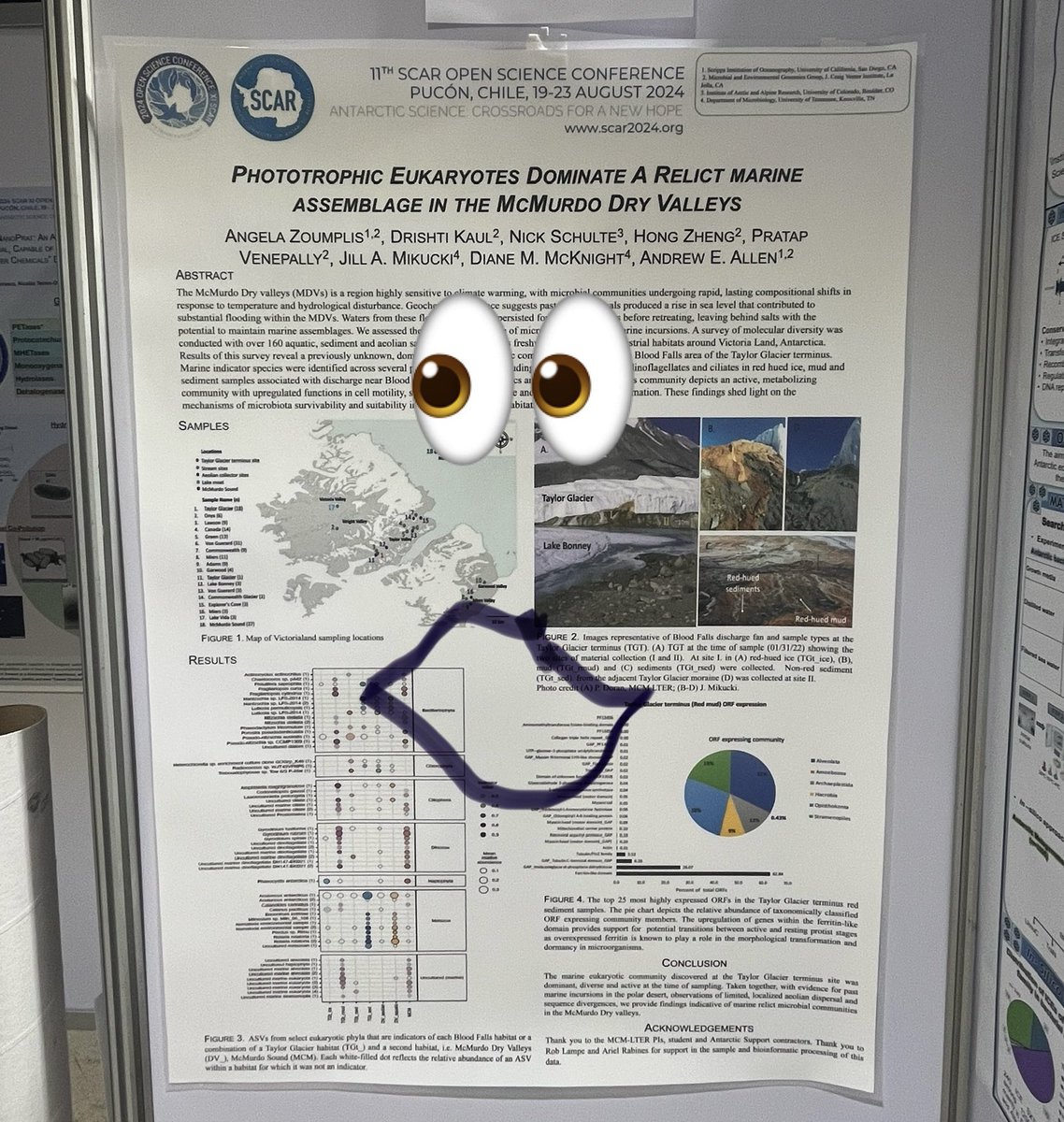 Little poster hanging out with all the big shot posters trying not to panic #SCAR2024