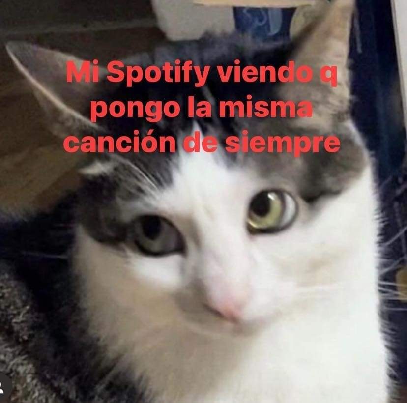 En Júpiter (@en_jupiter_) on Twitter photo 