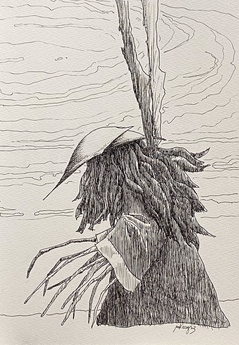おととしのきのうとおととい描いた絵。 