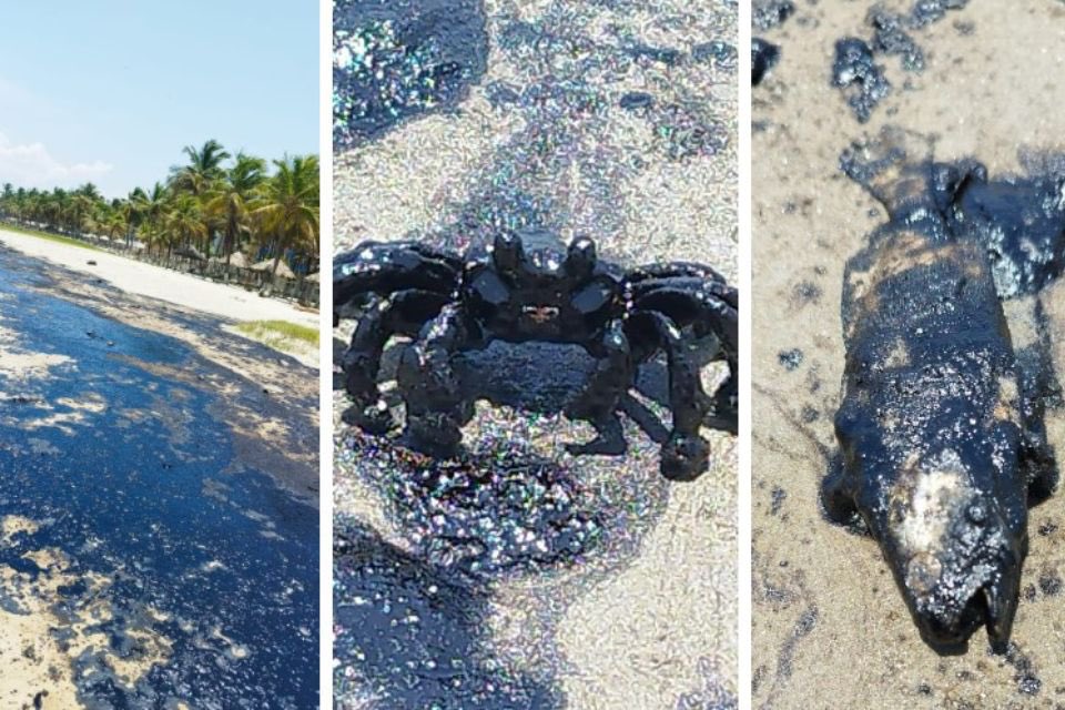 RDelBufalo's tweet photo. To all the environmentalists-socialists who support the socialist government of Venezuela:

Right now, an oil spill is destroying 225km2 of ocean. That’s more than half of the city of Caracas (430km2) and bigger than the Marshall Islands (180km2). It’s not just one accident. 7 spills per month occurred last year. 

https://t.co/SZ6ynDdzXk