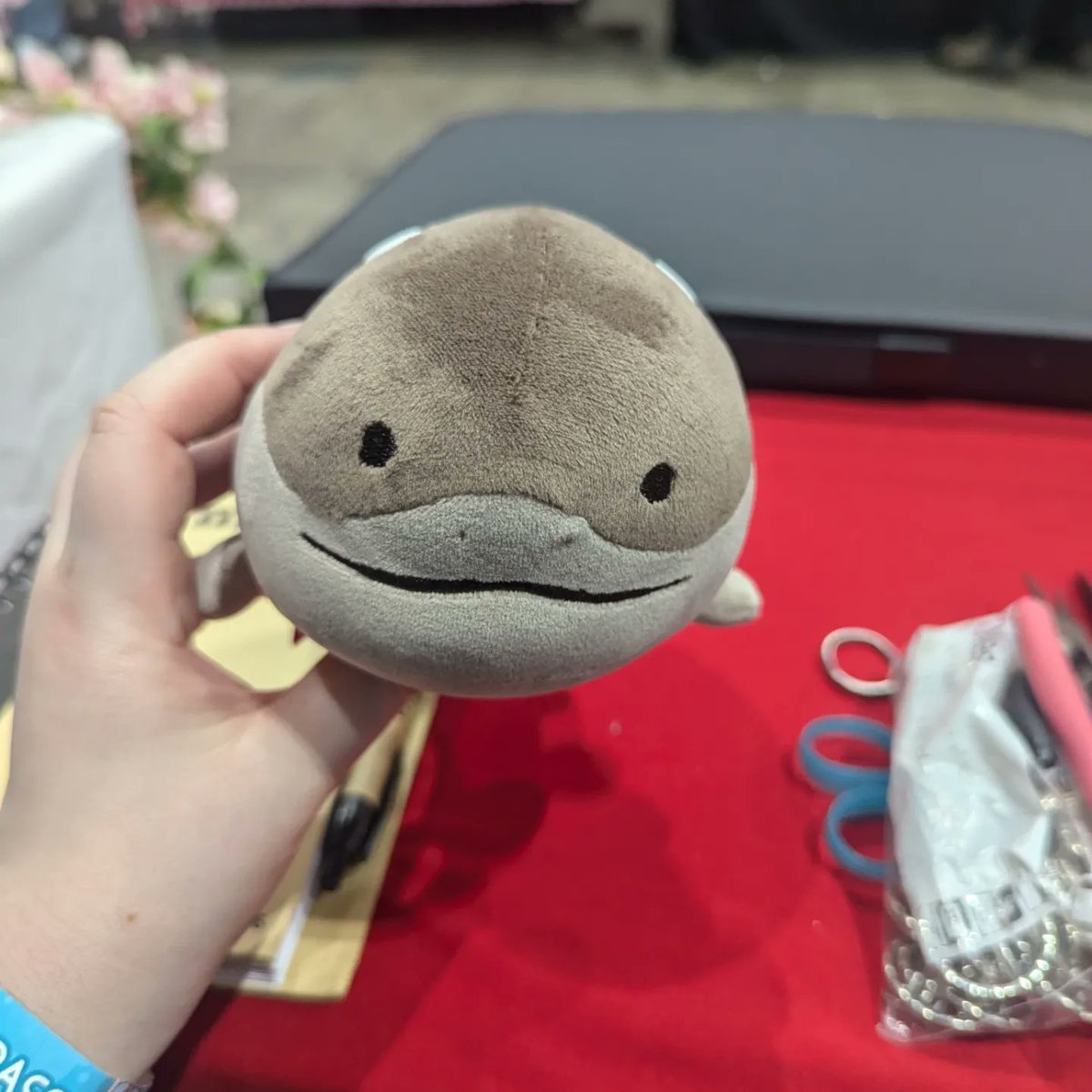 Plush-Drops tweet media