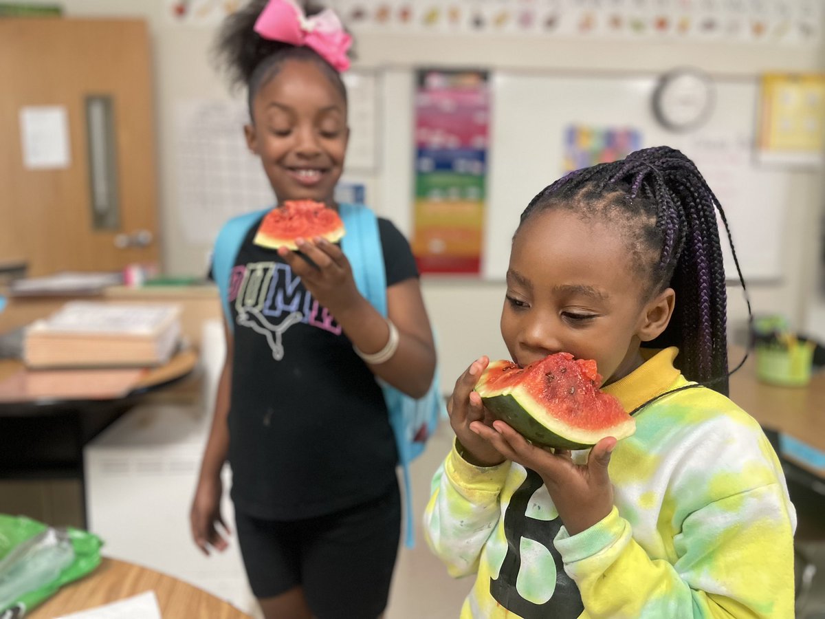STEAMingCooper's tweet photo. When the fruits of your labor bloom! 🍅🌻 Our garden is a wild ecosystem, but it's bursting with life and abundance. 🌱 So proud of what we've grown together! #UrbanGarden #Ecosystem #FruitsOfLabor #Sustainability @APS_WMBoyd @MsBlairAPS https://t.co/eUw7VRHyxT