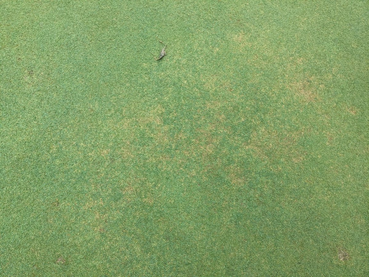 Marvin Seaman tweet media