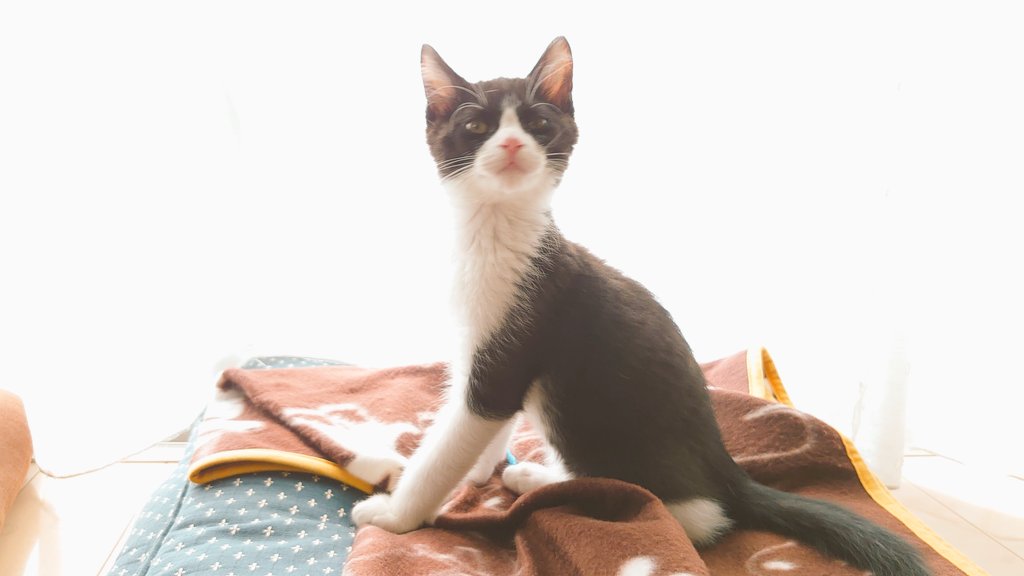 Snotra75 tweet media