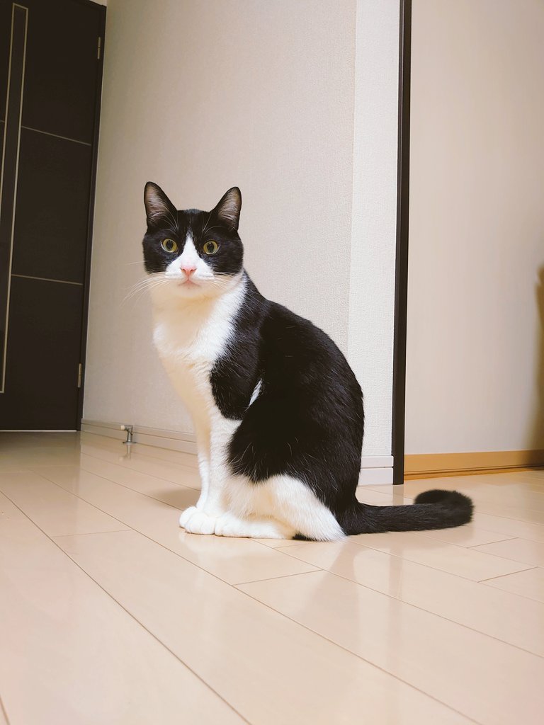 Snotra75 tweet media