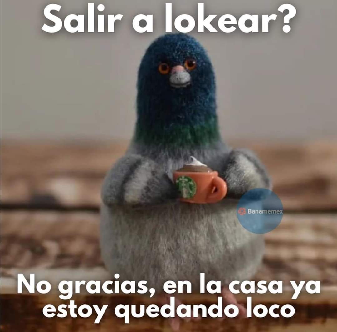 Nasty Poet (@nxstypxet) on Twitter photo 