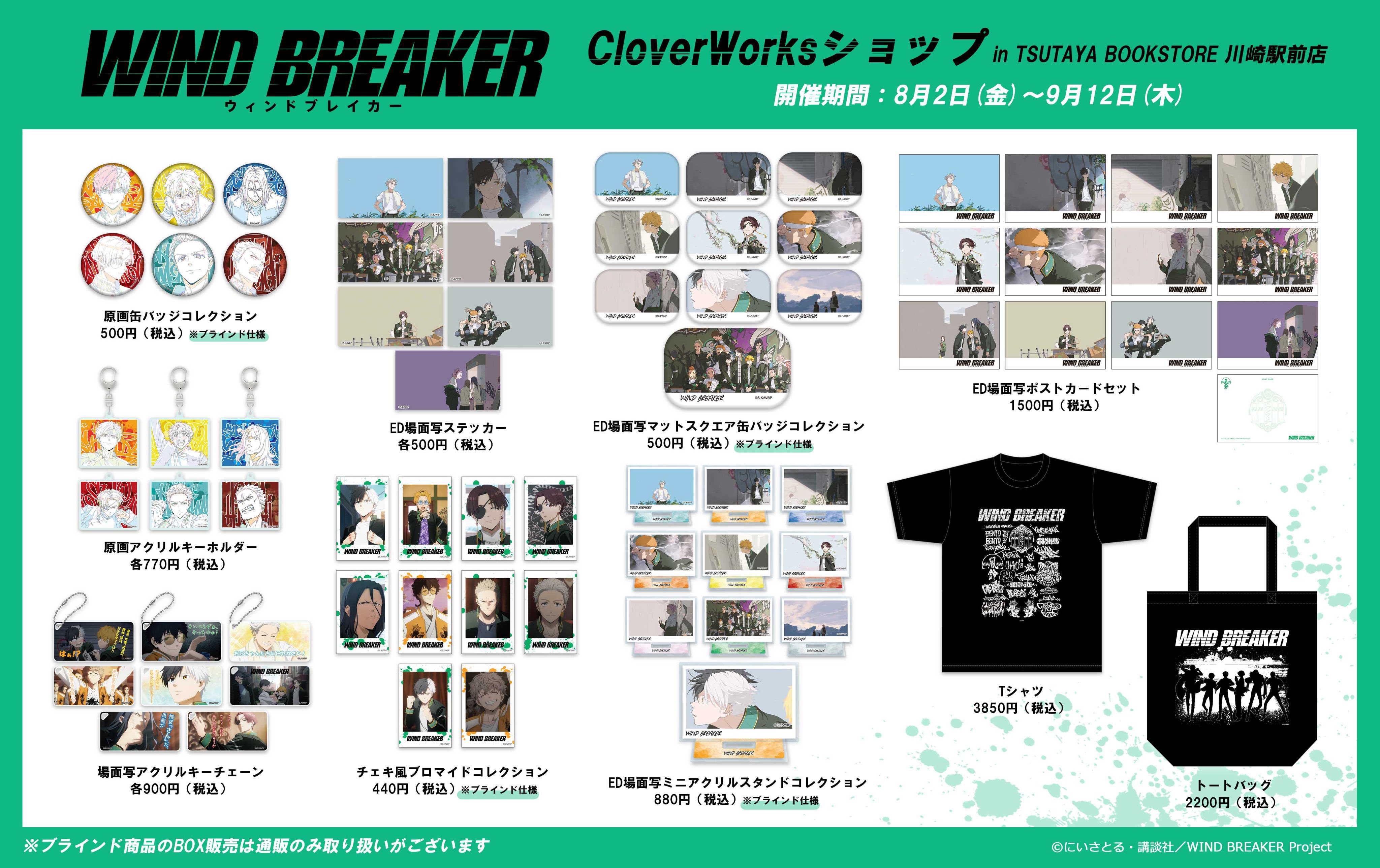 Amazon.co.jp: WIND BREAKER イ カード 12枚セット TSUTAYA限定