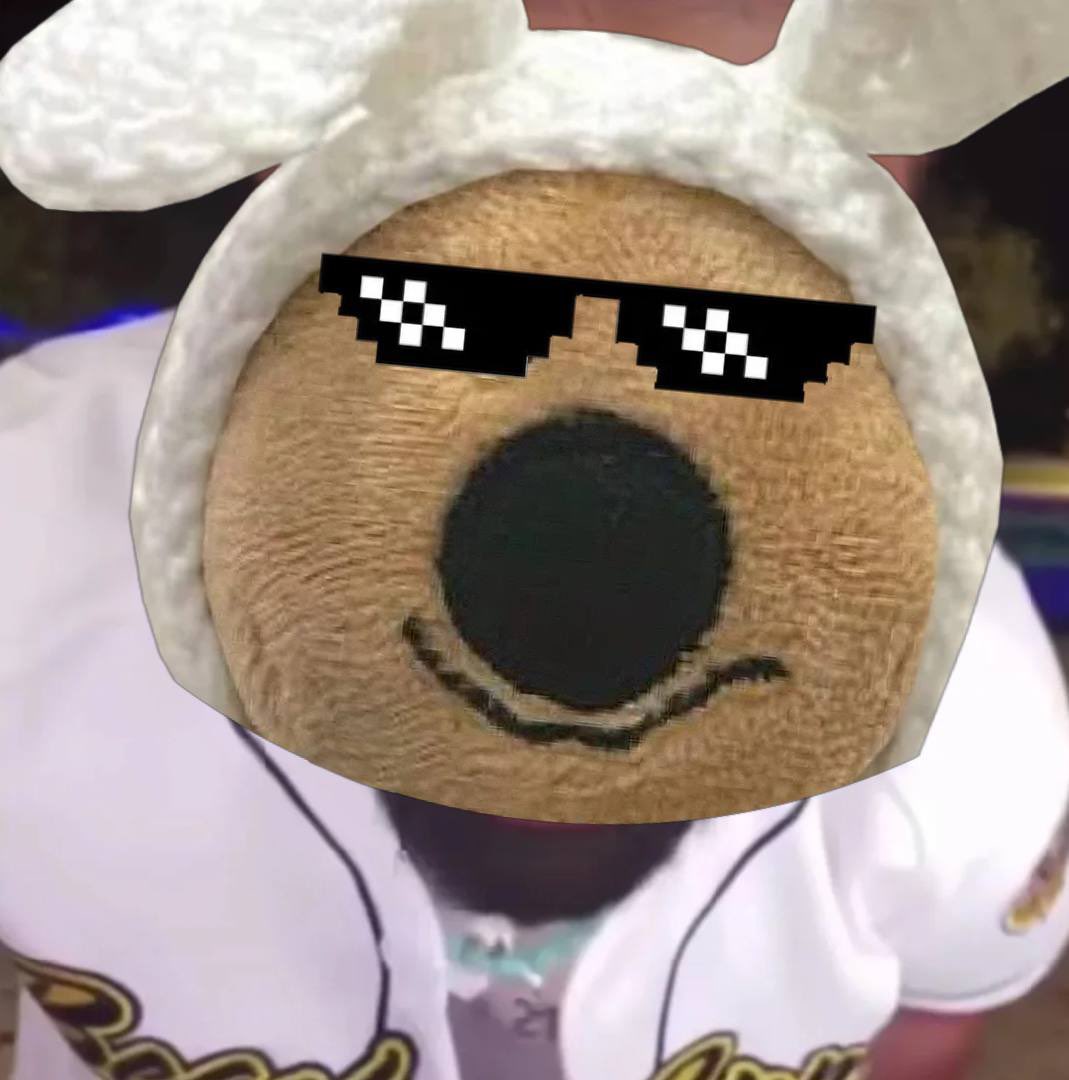 SquirrelCase🧸 tweet media