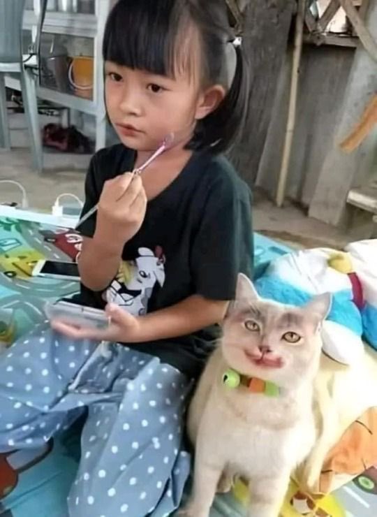 NoCatsNoLife_m's tweet photo. https://t.co/AOSMk2w6Dh