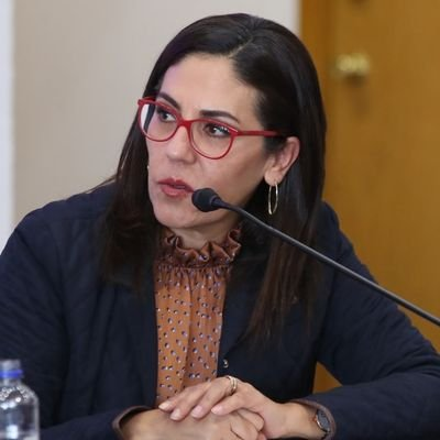 juanburgos's tweet photo. Ellos son los consejeros del INE que votaron en contra de la super mayoría del régimen. 

Claudia Zavala @CZavalaP
Martín Faz @MartinFazMora 
Jaime Rivera @JaimeRiveraV 
Dania Ravel @DaniaRavel

Agradezcámosles por darle voz a más 44% del país. #MuchasGraciasPatriotas https://t.co/TliyHCGrOs
