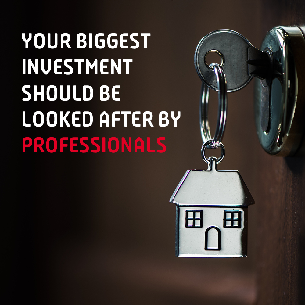 Prowest_RE's tweet image. 🔍 Thinking about investing? Leave it to the pros! 📈

Managing investments can be complex and time-consuming. Professionals bring expertise, experience, and a deep understanding of market trends to help you navigate the financial landscape 💼💡