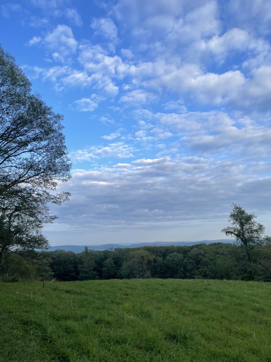 Fortunate to end the week with a gorgeous mountain bike ride. Hope you all get to go outside and enjoy the weekend!