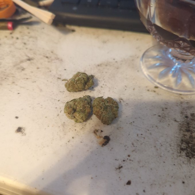 SI 3 three buds omg don't o ittrttt it's a trick. Omg noooo https://t.co/CgeusEOB8S