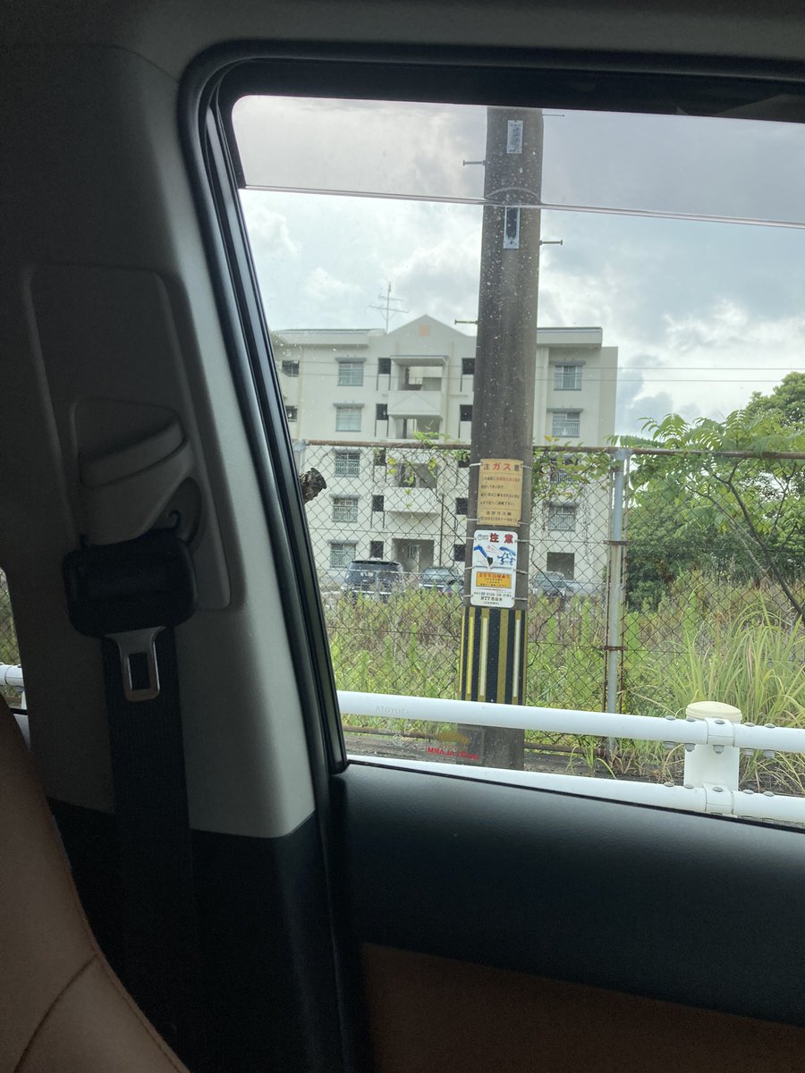 RyoHey1989's tweet photo. セミさんがずっと見つめておられるw https://t.co/VQRLSJqxlq