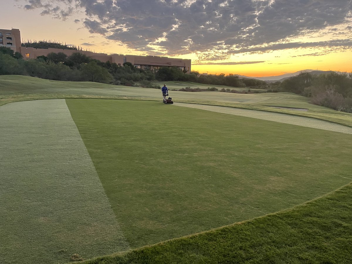 ChadParron's tweet image. Busy day on the course. 6 week old TifEagle greens got the full treatment today. Lowered HOC, double top dress, filled in pits/slower growing areas with sand, foliar and soil spray. @EvergreenTurfAZ @SimplotTurf @JohnDeere @cactusandpine