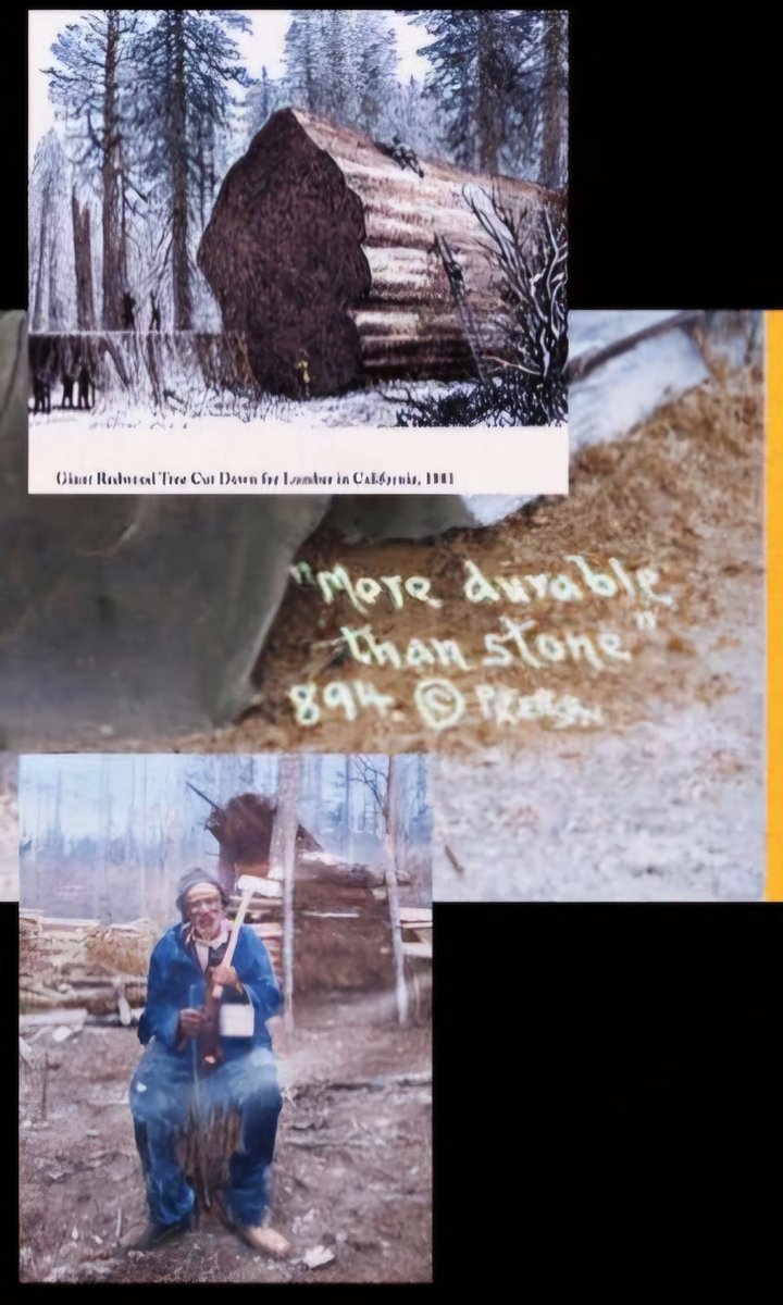 XPHOENIXDRAGON's tweet image. Were 1000 years added to hide our true past? 

To hide an entire civilization?

⁸🦅&amp;amp;🐲⁸
#OldWorld