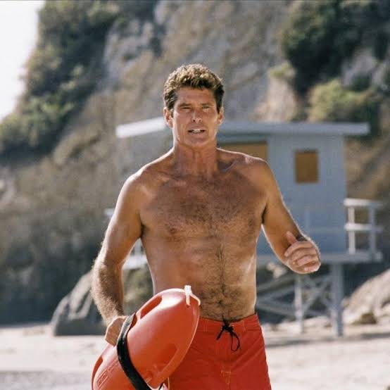 zendork's tweet photo. If you eat fries off The Hoff’s back,

Are they hassleback potatoes? https://t.co/5SovLwyAr5