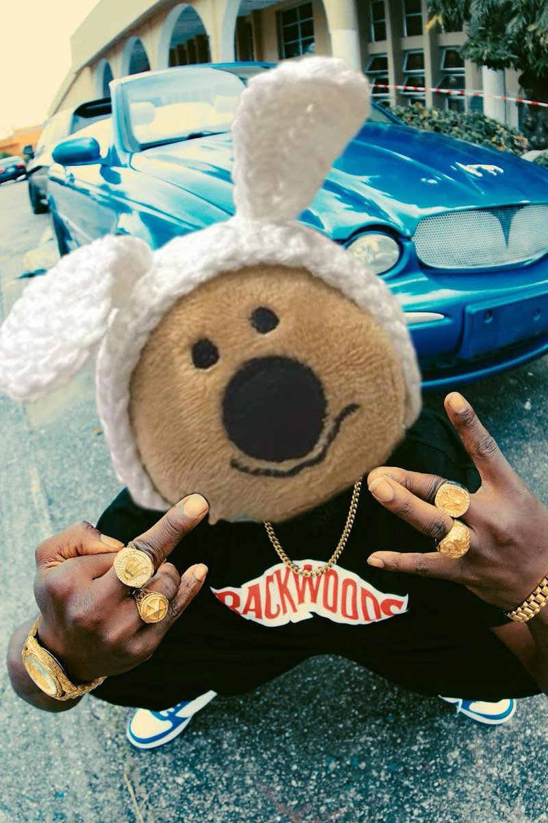 SquirrelCase🧸 tweet media