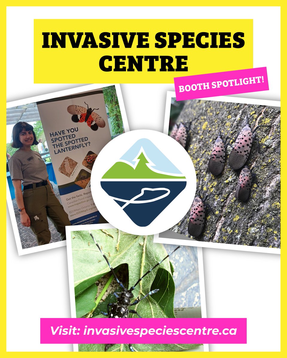 GuelphBugDay's tweet photo. Come visit the Invasive Species Centre (ISC) booth at Guelph Bug Day! 🐛🦗🪲

Learn about their education and outreach programs, and how ISC works to mobilize action against invasive species in Canada and beyond! You can see more information at https://t.co/6tS20qJo18 https://t.co/IZ8fMJ1WDh