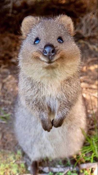 Stone🥶 tweet media