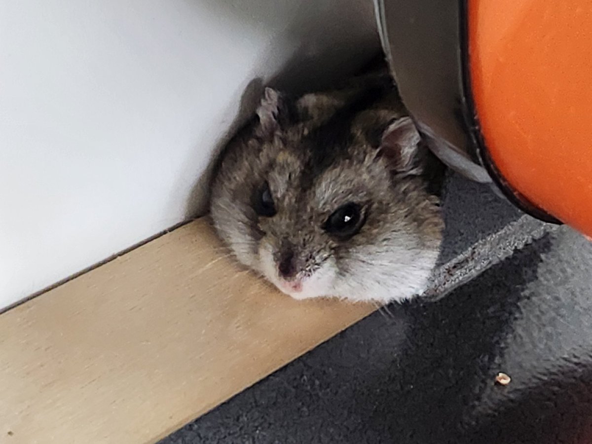 에어컨 안켠 날 더운 콩순이