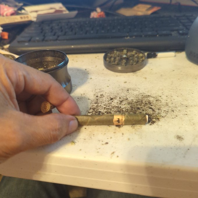 33 flora farms Kings Palm Pineapple tip thank you and plz be gentle with me. Thank you for your wonderful