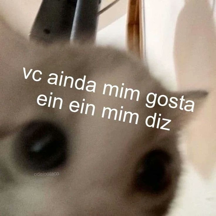 odeiootaco's tweet photo. https://t.co/pxFu0ru18S