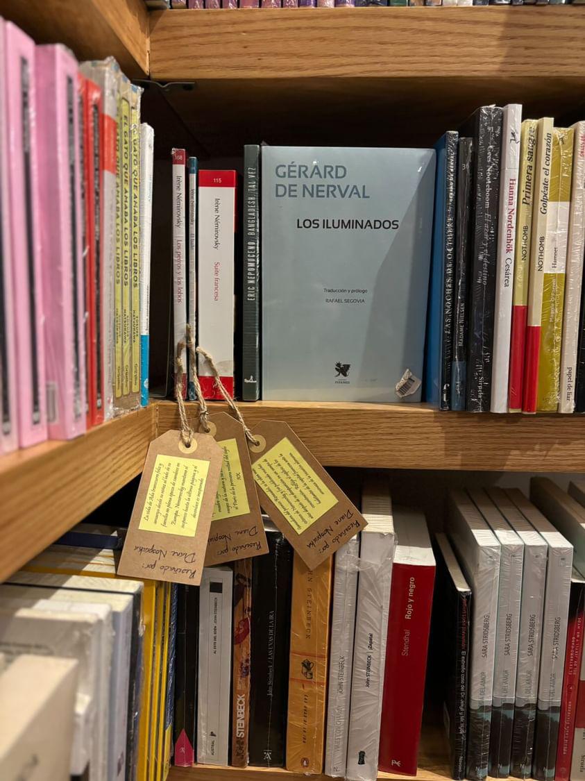 lakeshoredriver's tweet image. En @clarice_mx 🇲🇽 ahora están mis opiniones de tres libros de Iréne Nemirovsky 📚