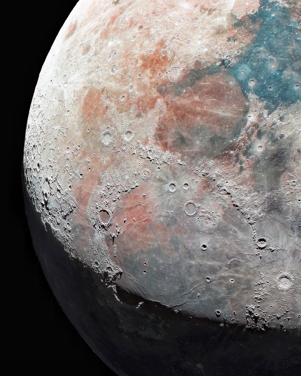 Curiosity tweet media