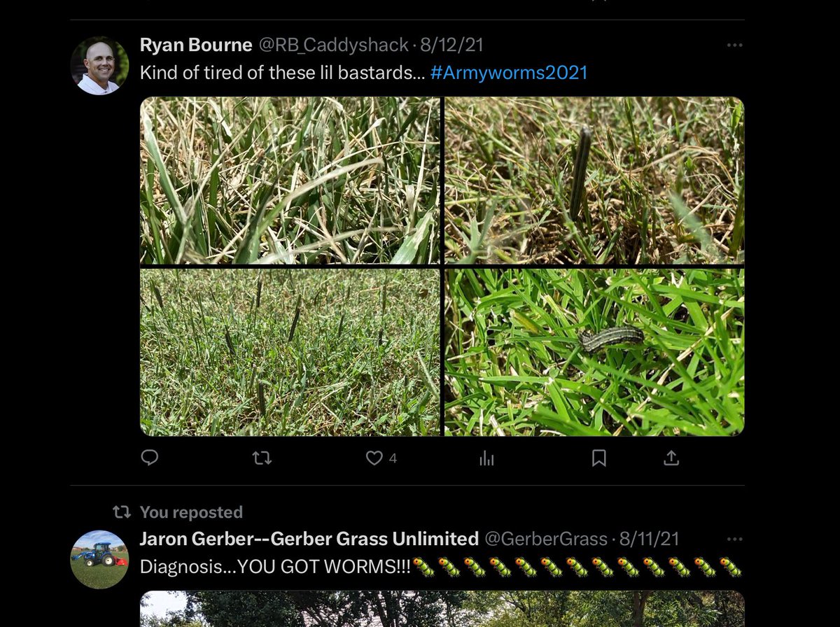 Ryan Bourne tweet media