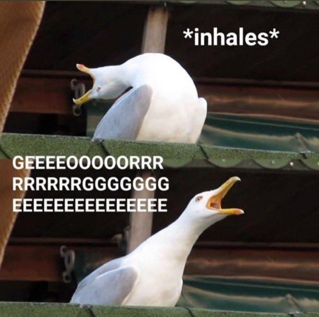 Alyce (@ninergirl99) on Twitter photo 