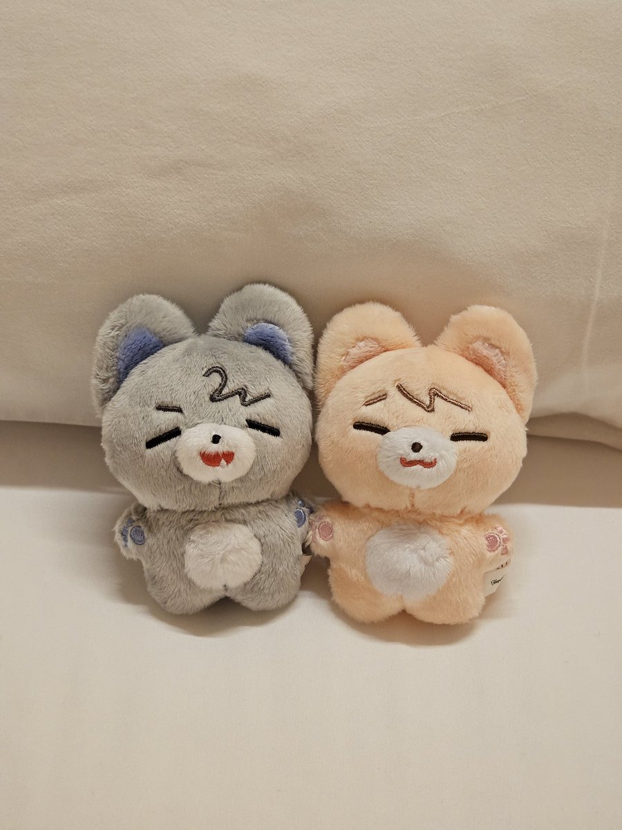 WolfHxFoxG's tweet photo. 💙 🐺 뿌횬 뽀규 🦊 ❤️ 가 완판 되었습니다!🤗👏👏 구매해주신 분들께 감사드립니다💕 뿌횬 뽀규와 앞으로도 행복한 추억들 많이 생기시길 바랄게요!!☘️
* 특전은 계속 구매 가능합니다!
* 2차 생산은 없을 예정이니 관련하여 문의하지 말아주세요🥲 https://t.co/P0qaTJE5BQ