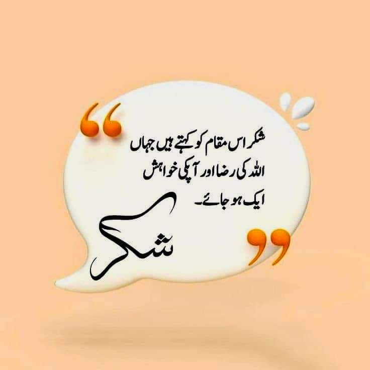 اسلام علیکم 
صبح بخیر 
X Family