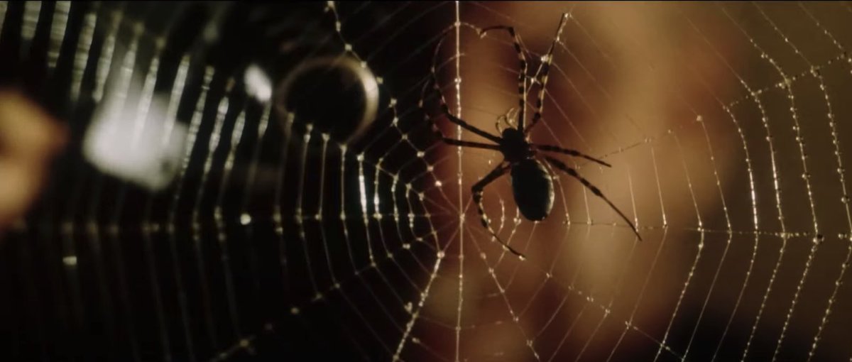 BenBurghart's tweet photo. The only part of Alien Resurrection that I remember is Ron Perlman shooting a spider with a gun, but it turns out that caps off an amazing ladder action set piece out of nowhere. The highlight being two characters strapped together that have to switch off climbing the ladder. https://t.co/68IcBKa1wC