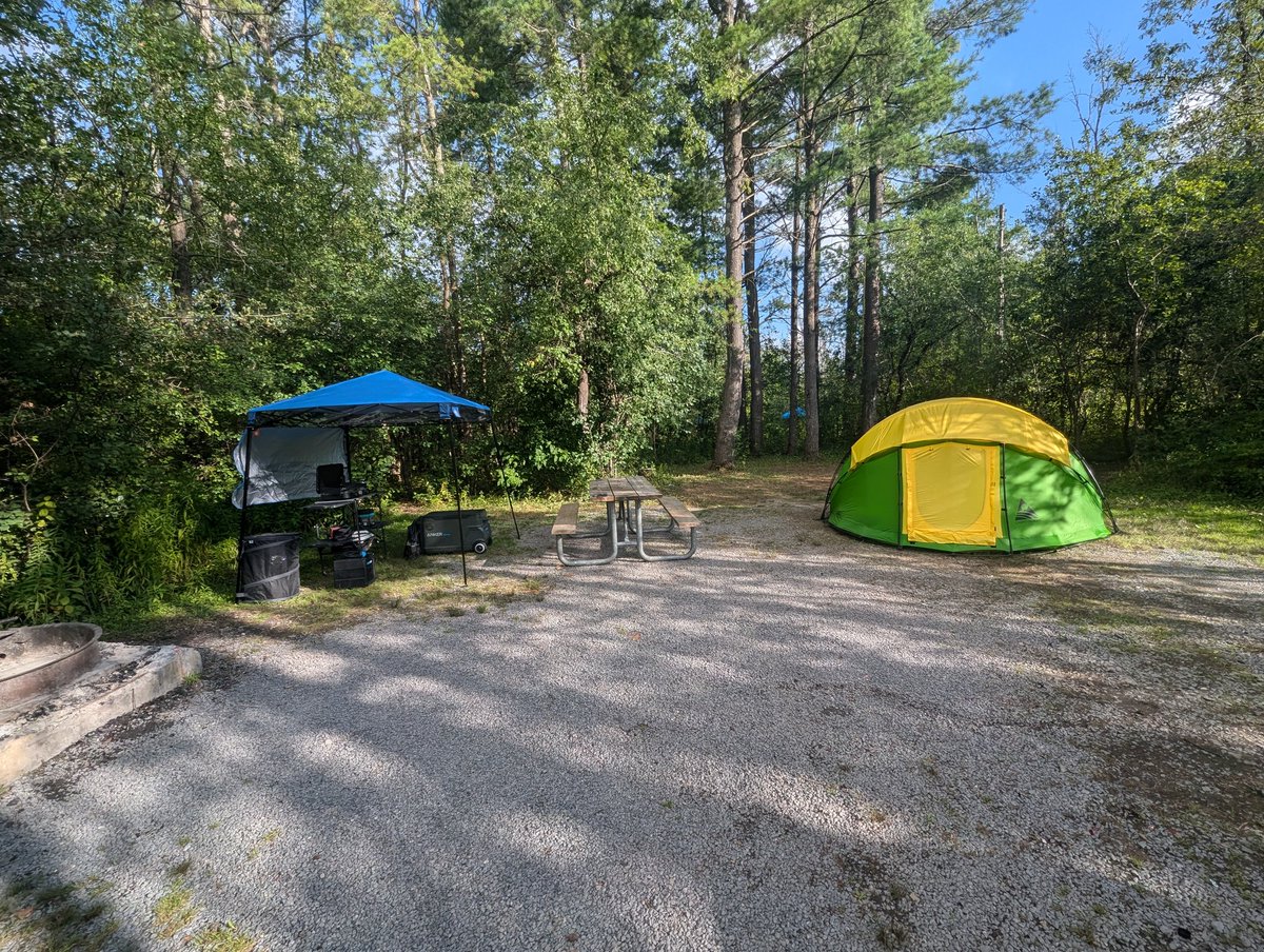 Tyron P. tweet media