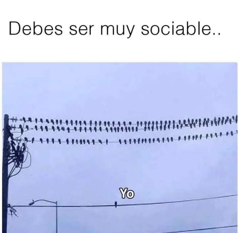 frferrerm's tweet image. Absolutamente cierto…