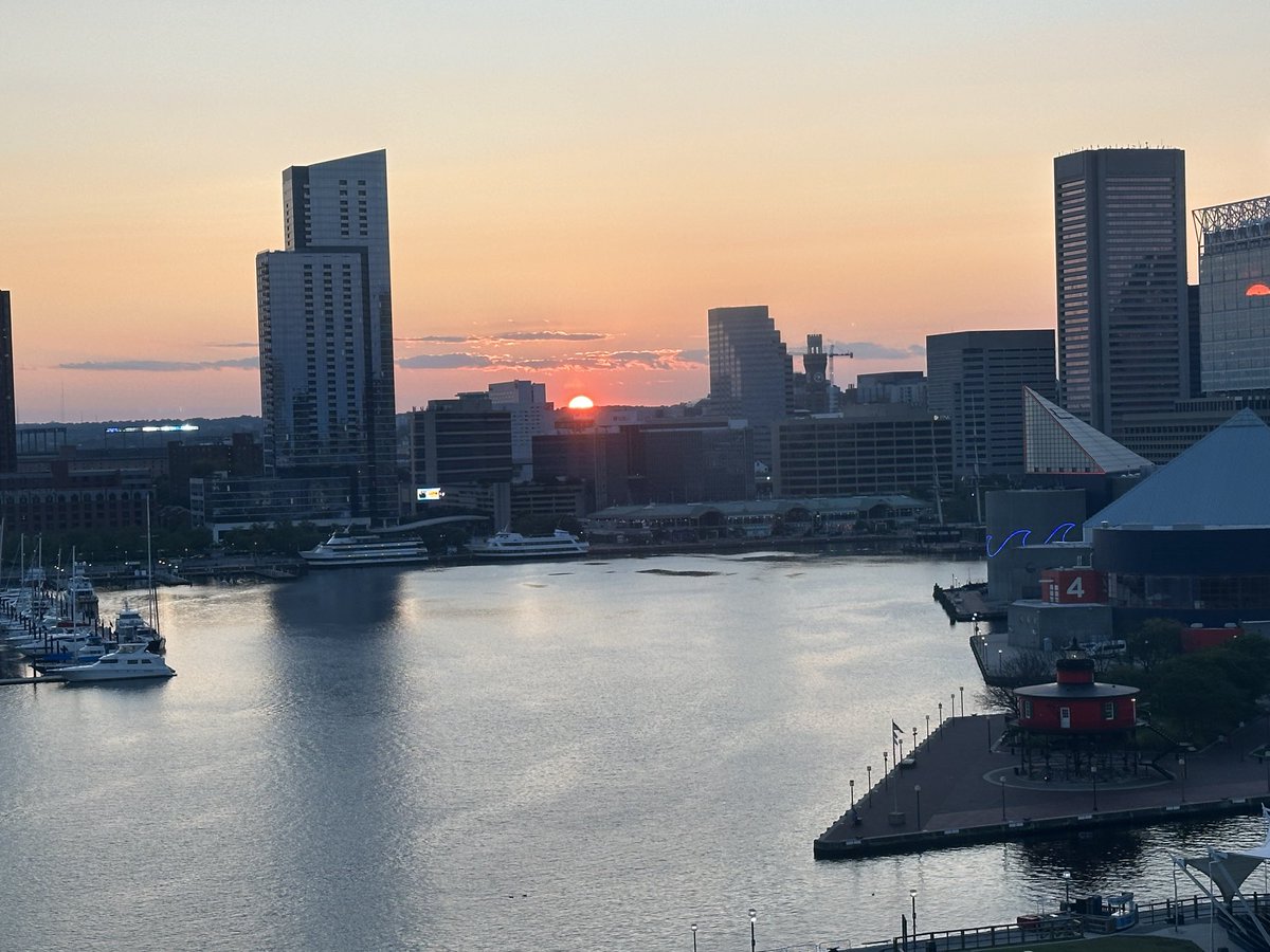 Janet Conway MD, FAAOS tweet media