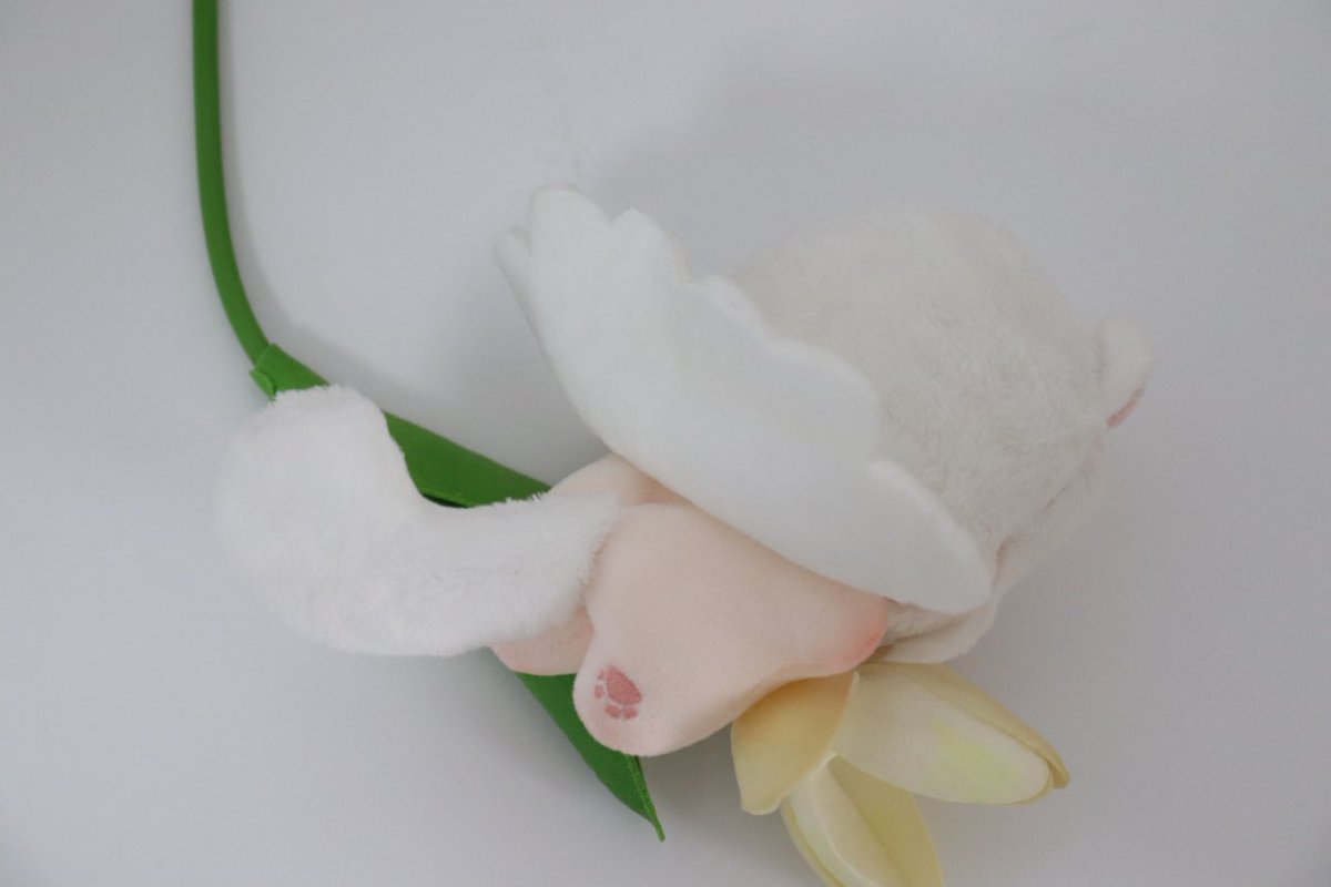 사랑스러운 불가사리 인형❤️

#ぬいぐるみ #棉花娃娃 #綿人形 #無属性ぬい #솜뭉치 #台灣娃 #cottondol  #우리_공장을_소개합니다 #우리_공장으로_오세요 #무속성 #솜인형 #5cm #10cm