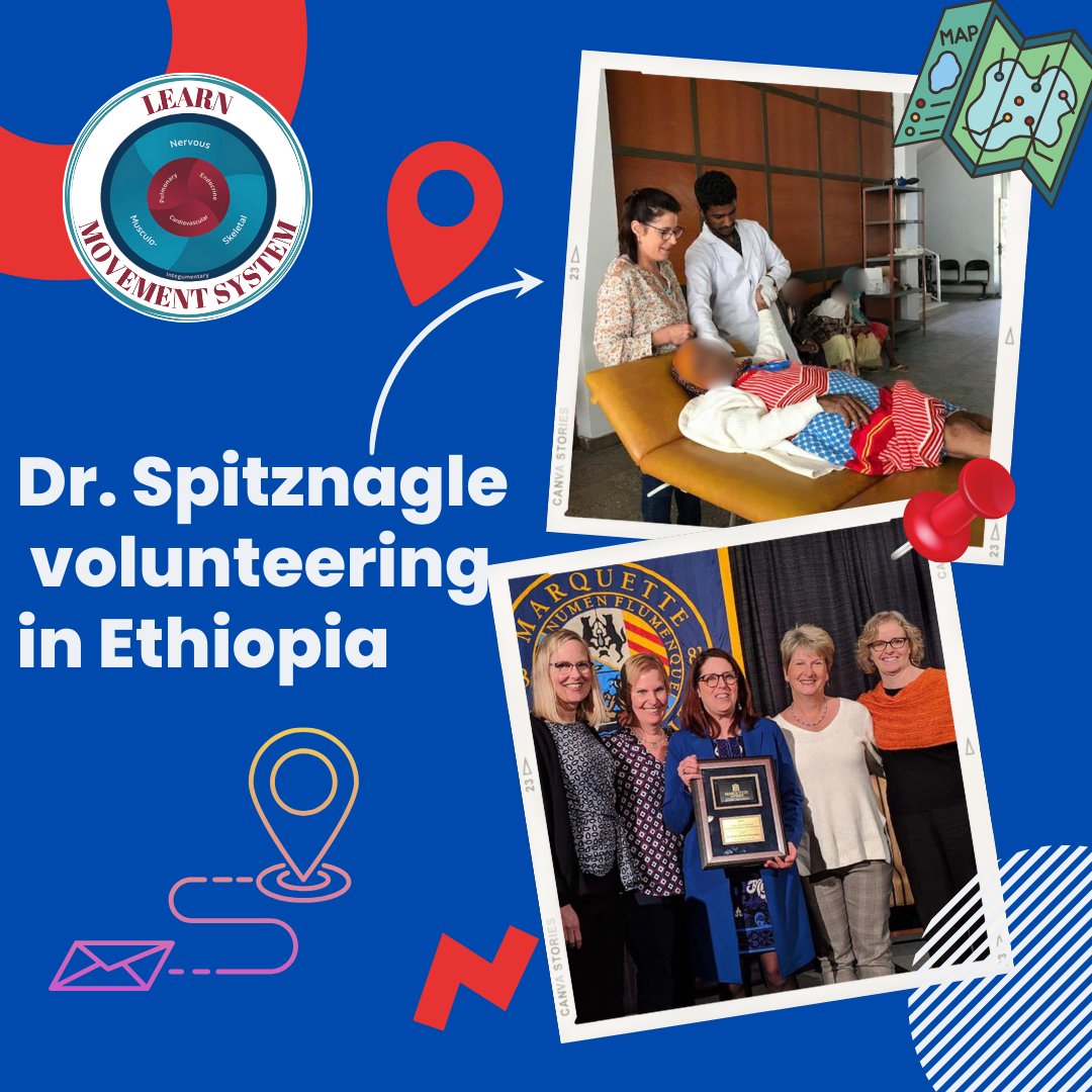 Learn Movement System tweet media