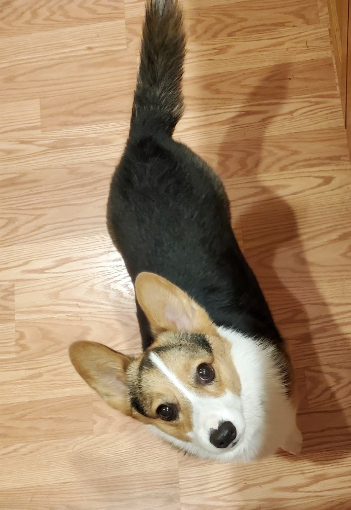 Mark Bernard tweet media