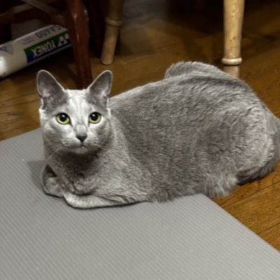 realme_min's tweet photo. #新しいプロフィール画像 https://t.co/RbffKzPi3z