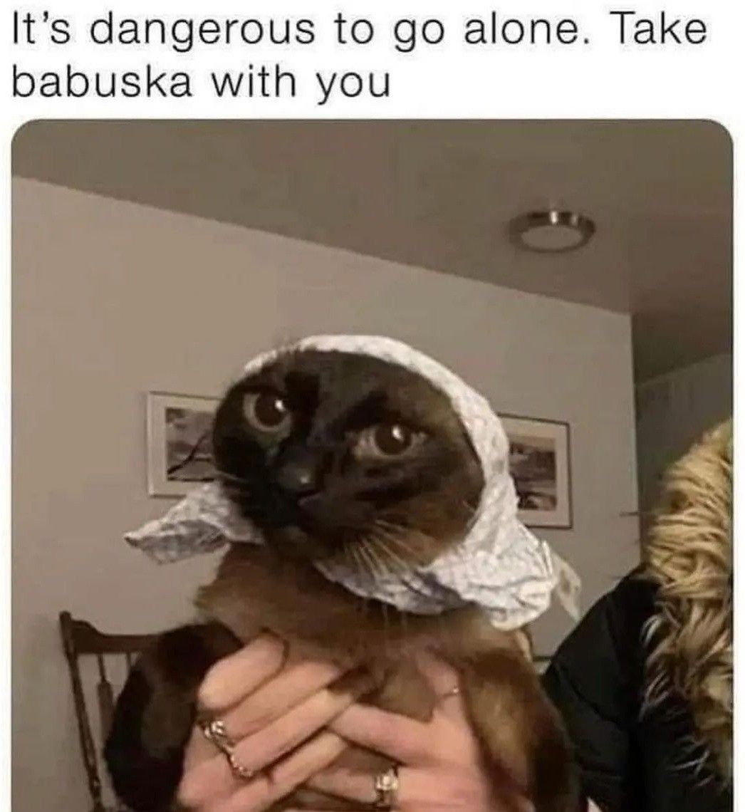 PostsOfCats's tweet photo. https://t.co/Yo58MgiABs