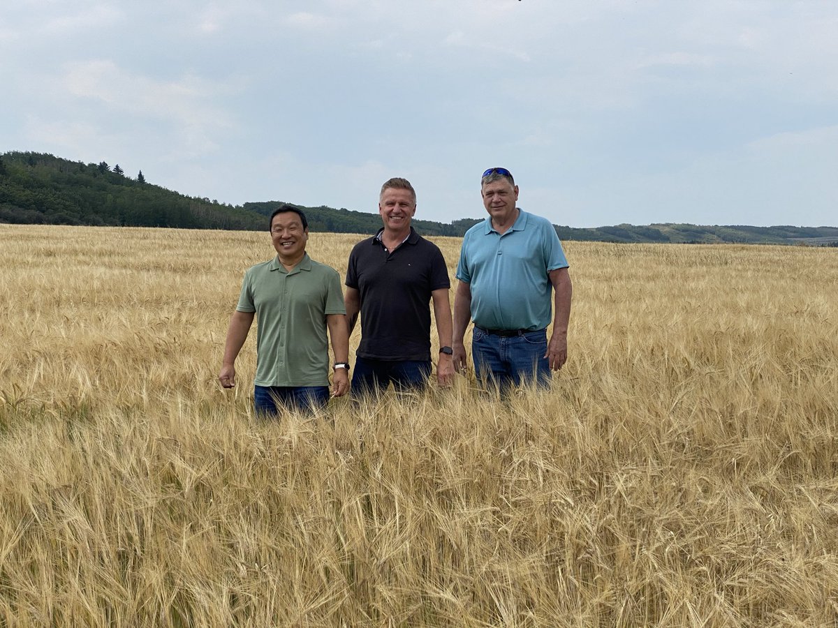 kevin_rahr's tweet image. Big week scouting ⁦@AlbertaGrains⁩ barley with our Japanese friends ⁦@rahr_malt⁩
