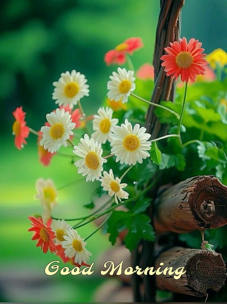 Haider_237's tweet photo. Good morning  X Family ✨💞💗

 جھوٹ پر جھوٹ بولنے سے دنیا تو بن جاتی ہے لیکن آپ دراصل آخرت کیلئے عذاب جمع کررہے ہوتے ہیں یاد رکھنا جھوٹوں پر اللہ کی لعنت ہوتی ہے💗✨ https://t.co/U4EhgNniuU