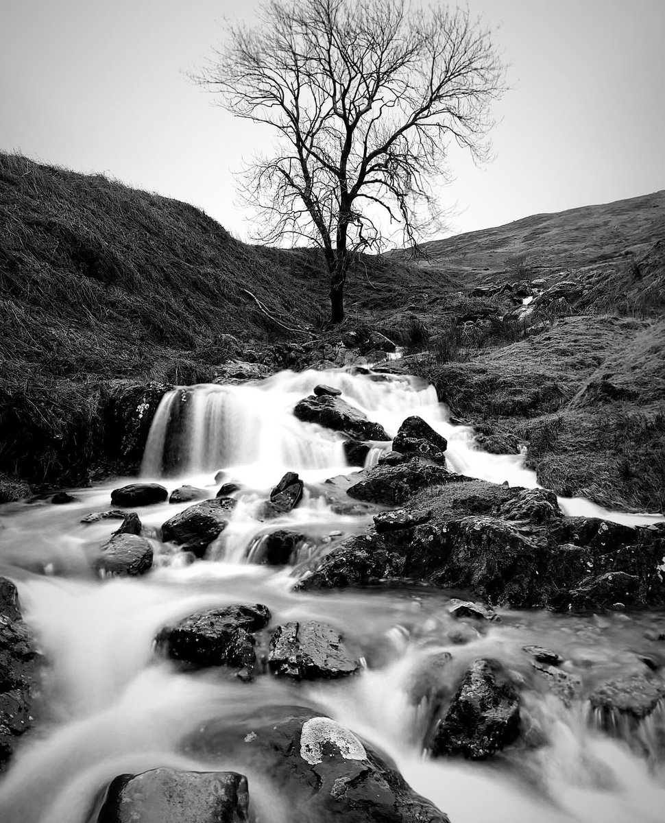 Ben Laws tweet media