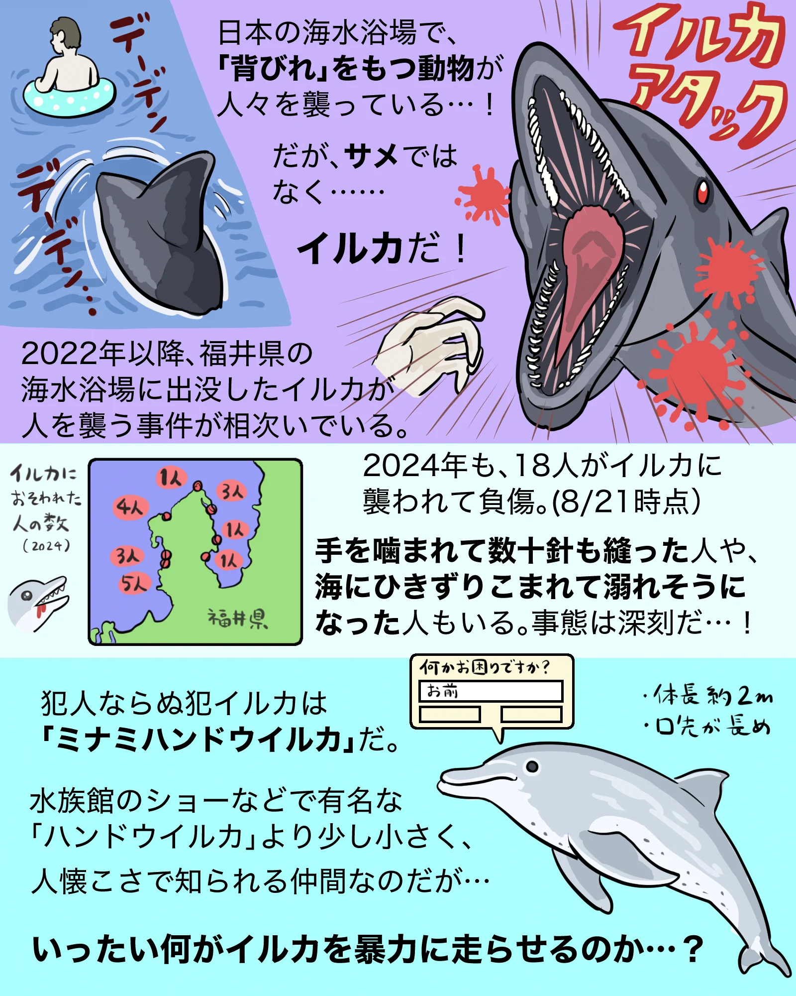 バナナイルカ3 ぬまがさワタリ@特別展「鳥」大阪展（〜6/14） on X: 
