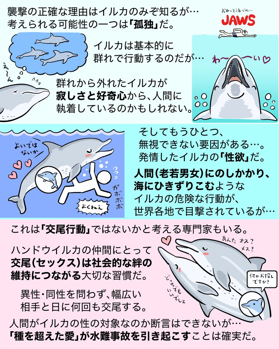 イルカがせめてきた！？ 海水浴場で人々を襲うイルカに何が起こって