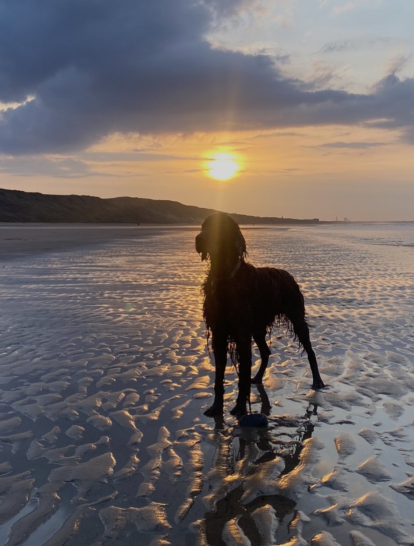 Glorious 🌅