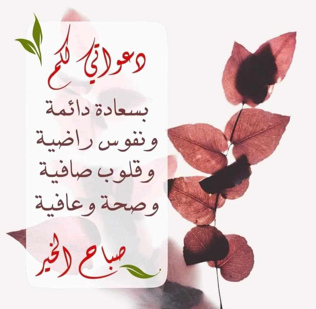 mis Tatou (@tatoumis) on Twitter photo 